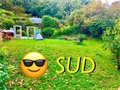 Photo numero 47705675 du bien UBI476529581